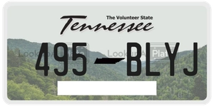 495BLYJ license plate in Tennessee