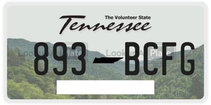 893BCFG license plate in Tennessee
