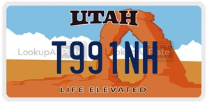 T991NH license plate in Utah