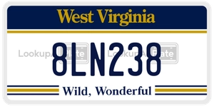 8LN238 license plate in West Virginia