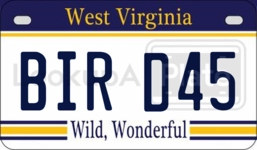 BIRD45 license plate in West Virginia