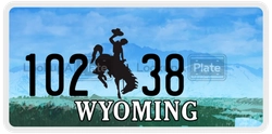 10238  license plate in WY