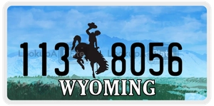 1138056 license plate in Wyoming