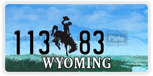 11383 license plate in Wyoming
