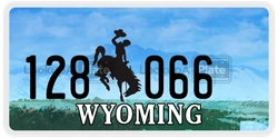 128066  license plate in WY
