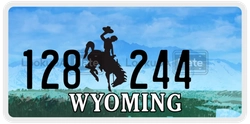 128244  license plate in WY
