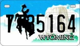 17T35164 license plate in Wyoming