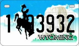 193932 license plate in Wyoming