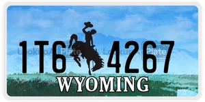 1T64267 license plate in Wyoming