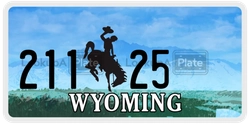 21125  license plate in WY