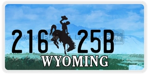 21625B license plate in Wyoming