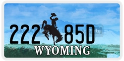 22285D  license plate in WY