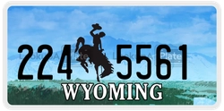 2245561  license plate in WY