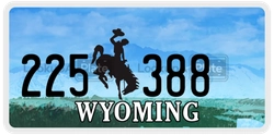 225388  license plate in WY