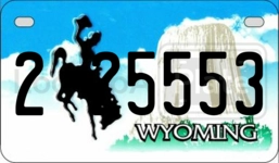 225553 license plate in Wyoming