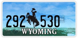 292530  license plate in WY
