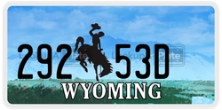 29253D  license plate in WY