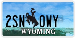 2SNOWY  license plate in WY