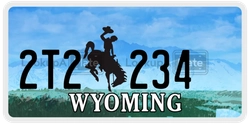 2T2234  license plate in WY