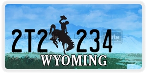 2T2234 license plate in Wyoming