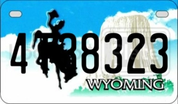 4T38323 license plate in Wyoming