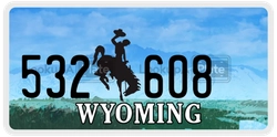 532608  license plate in WY