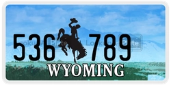 536789  license plate in WY