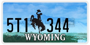 5T1344 license plate in Wyoming