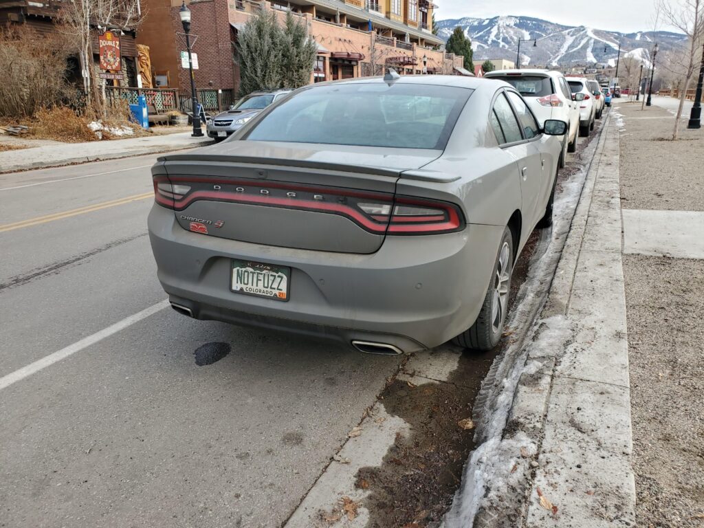 #17 NOTFUZZ Colorado License Plate