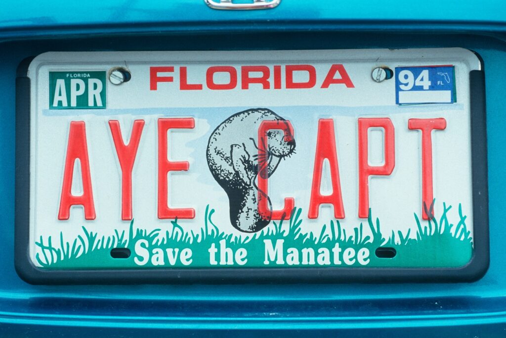 Vanity License Plate Ideas